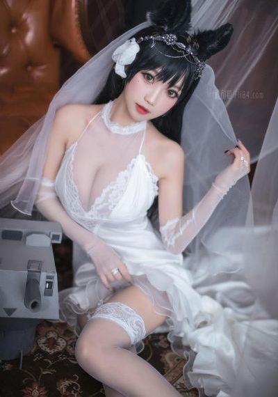 欧美玫瑰花教程_免费观看高清版