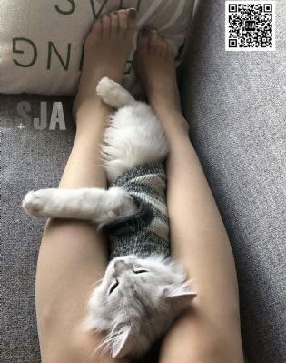年轻的阿姨2019完整版_720动漫在线观看