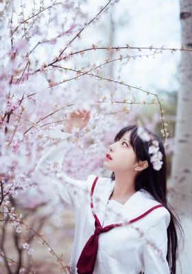 亚洲日本免费在线一区_超清神马在线观看
